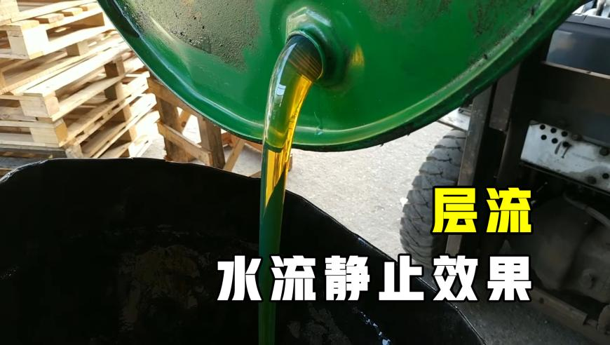蟑螂：请苍天辨忠奸,黄大仙一肖一码100准2025澳门,典故解疑_GM版V4.89