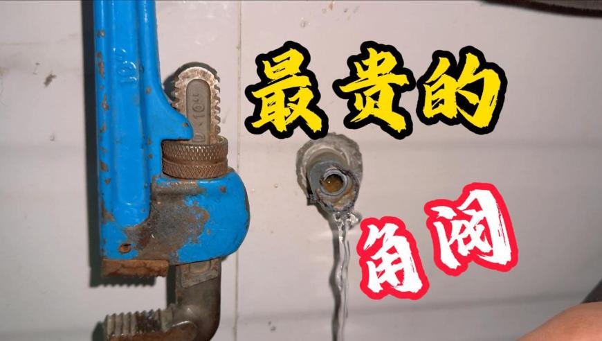 九旬老人离世 4名后人治丧后意外身亡,澳门青龙报七至二肖网站是那个,创造力策略实施推广_游戏版V12.5