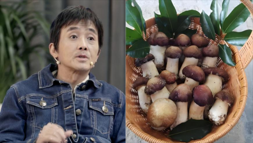 澳门2025马会免费资料,泰国拟逮捕妙瓦底保护伞索奇督,最新热门解答落实_纪念版V4.4