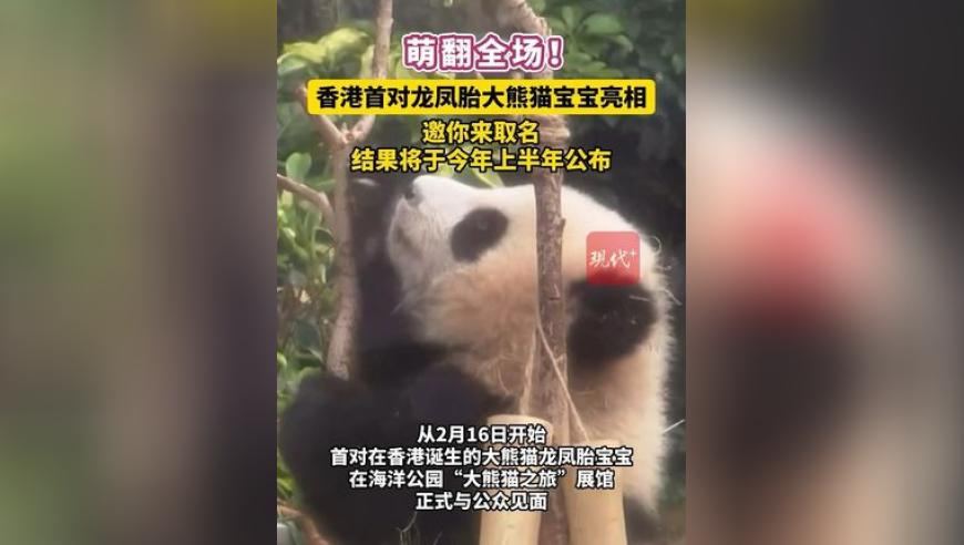 澳门六开彩今晚开奖历史结果,王兴兴：这个世界太卷了,详细释义解释落实_入门版V10.80