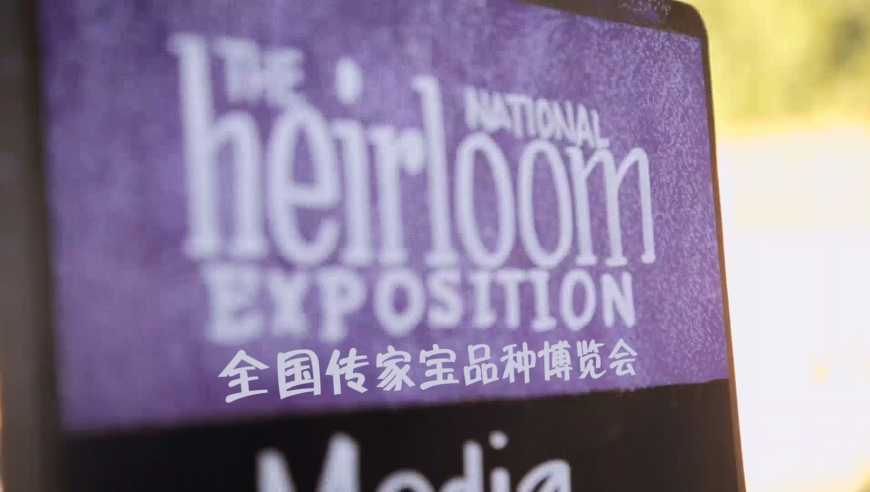 2025新奥历史开奖记录今晚,那些我们可以学习的女性榜样,收益成语分析落实_精英版V9.7