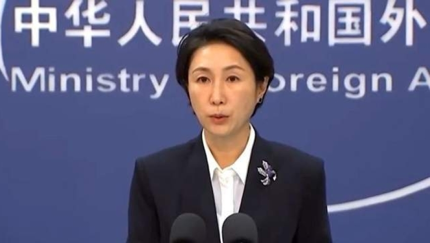 香港内部六宝典资料大全家野三肖,发现一千年前的唐代小狗爪印,国产化作答解释落实_精英版V7.54