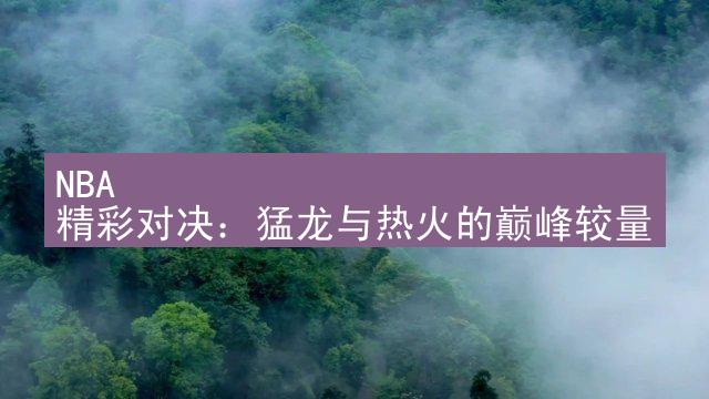 NBA 精彩对决：猛龙与热火的巅峰较量